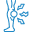 Sciatica