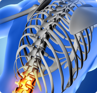 Spinal cord injury